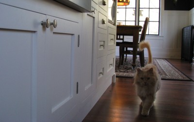 shaker style kitchen cabinets 1